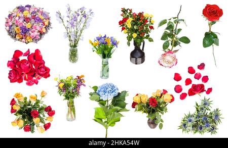 Set aus verschiedenen Blumen in Vasen und Singles isoliert auf weißem Hintergrund Stockfoto