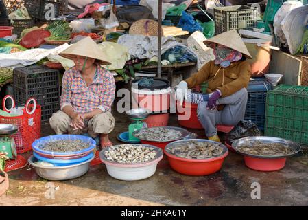 Zwei vietnamesische Frauen, die traditionelle konische Hüte tragen, verkaufen Fisch auf einem lokalen Lebensmittelmarkt in Hue, Provinz Thua Thien Hue, Zentralvietnam Stockfoto
