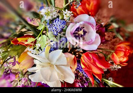 Frühlingsromantischer Strauß mit Tulpen, Narzissen und Muskari im Retro-Stil Stockfoto