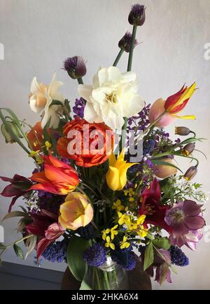 Frühlingsromantischer Bukett mit Tulpen, Narzissen, Muscari, helleborus, Allium und fritillaria im Retro-Stil Stockfoto