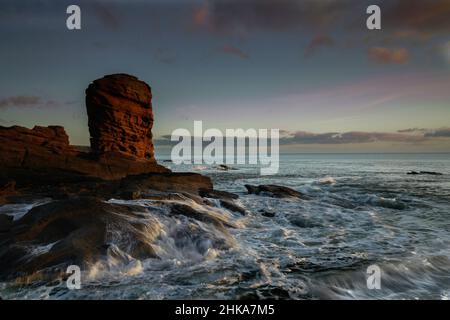 Deils heid auch bekannt als der Teufelskopf, Arbroath, Angus, Schottland., Stockfoto