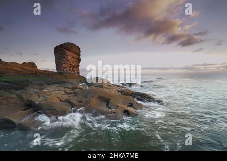 Deils heid auch bekannt als der Teufelskopf, Arbroath, Angus, Schottland., Stockfoto