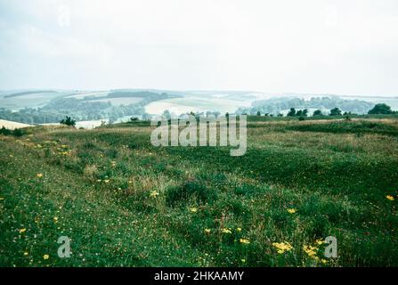 HOD Hill - Eisenzeit dann römische Festung im Blackmore-Wale, Dorset, England. Die Festung wurde in der späten Eisenzeit von den Durotrigen bewohnt und dann von den Römern erobert. Römische Gräben mit Hügelwällen. Archivscan von einem Dia. November 1973. Stockfoto