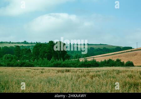 HOD Hill - Eisenzeit dann römische Festung im Blackmore-Wale, Dorset, England. Die Festung wurde in der späten Eisenzeit von den Durotrigen bewohnt und dann von den Römern erobert. Blick von Norden. Archivscan von einem Dia. November 1973. Stockfoto