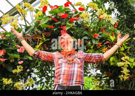 London, Großbritannien. 3. Februar 2022. Henck Röling, der hauseigene Florist, pflegt die Blumen. Beim jährlichen Orchideenfestival im Kew Botanical Gardens in London werden wieder einmal beeindruckende Blumenausstellungen mit einer zentralen Ausstellung im Gewächshauenteich, Tausende bunter Orchideen und Hunderte anderer tropischer Pflanzen sowie Gartenausstellungen im Princess of Wales Conservatory zu sehen. Das Festival findet von Samstag, 5. Februar bis Sonntag, 6. März 2022 statt. Kredit: Imageplotter/Alamy Live News Stockfoto