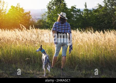 Frau mit ihrem Hund auf einem Spaziergang in der Natur während des Sonnenuntergangs. Haustierbesitzerin und ihr Whippet im Freien. Stockfoto