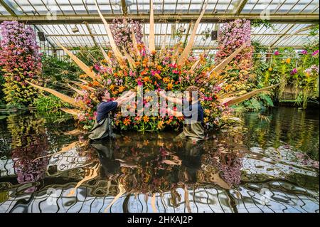 London, Großbritannien. 3rd. Februar 2022. Die Gartenbauer von Kew Gardens haben den letzten Schliff für das Orchideenfestival (das in diesem Jahr auf Costa Rica ausgerichtet ist) im Konservatorium der Prinzessin von Wales gelegt. Das Festival läuft von Samstag, 5. Februar bis Sonntag, 6. März 2022. Kredit: Guy Bell/Alamy Live Nachrichten Stockfoto