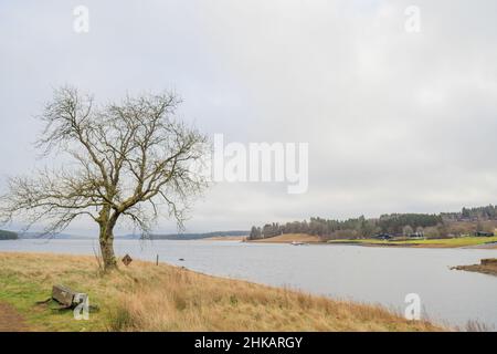 Kielder England: 13th. Januar 2022: Blick auf das Kielder Reservoir von Rushy Knowe Stockfoto