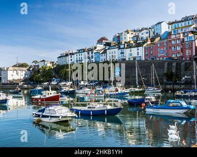 Ein sonniger Tag in Brixham im Süden von Devon. Stockfoto