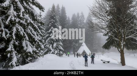 03. Februar 2022, Sachsen, Schöneck: Wintersportler gehen im verschneiten Winterwald bei der Meilerhütte im Vogtland Langlaufen. Derzeit profitieren die sächsischen Skigebiete vor allem von Urlaubsgästen aus Berlin und Brandenburg. Nach der späten Eröffnung durch Corona Mitte Januar haben Liftbetreiber, Hoteliers und Gastronomen viel Nachholbedarf und hoffen auf eine möglichst lange Saison. Obwohl zahlreiche Gäste kommen, gibt es noch Raum für Verbesserungen, so der Geschäftsführer der SkiWelt. Skifahren ist in Sachsen unter 2G Jahren möglich Stockfoto