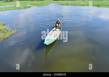 MUNSHIGANJ, BANGLADESCH - August 19, 2017: ein Mann Segel Yacht bei Arial Kaution an Sreenagar, Munshiganj, Bangladesh, 19. August 2017. Arial Beel (Feuchtgebiet) - Stockfoto