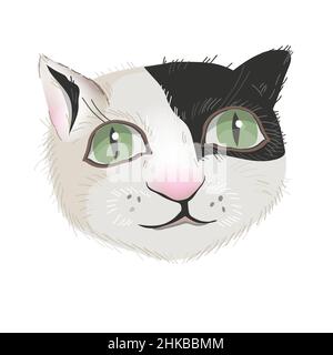 Humorvolle Darstellung des Kopfes einer Katze mit großen Augen, Vektordarstellung isoliert. Stock Vektor