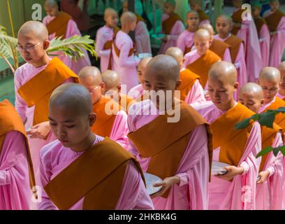 Nonnen aufgereiht Haltebleche Queuing für Lebensmittel bei Thetkya Thidar Nonnenkloster, Sakyadhita Thilashin Nonnenkloster Schule, Sagaing, Myanmar (Burma), Asien Stockfoto