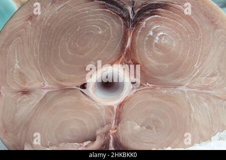 Frischer Schwertfisch, geschnitten und auf dem Fischmarkt in Australien ausgestellt Stockfoto