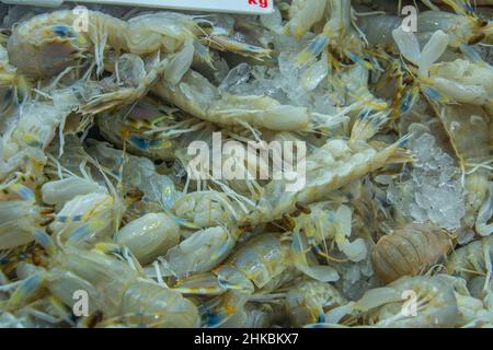 Mantis-Garnelen (Garnelen) oder Stomatopoden auf dem Fischmarkt in Australien Stockfoto