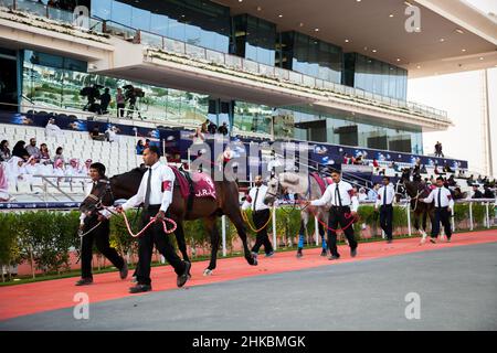 Doha, Katar - 11. April 2016 : Qatar Gold Sword Horse Racing Festival 2016 im Equestrian Club Al Rayyan Race Park. Stockfoto