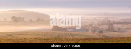 Morgennebel auf den Feldern in Ondrasova, Slowakei. Stockfoto