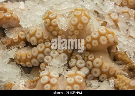 Nahaufnahme der Tintenfischsucker im Eis auf dem Fischmarkt in Australien Stockfoto