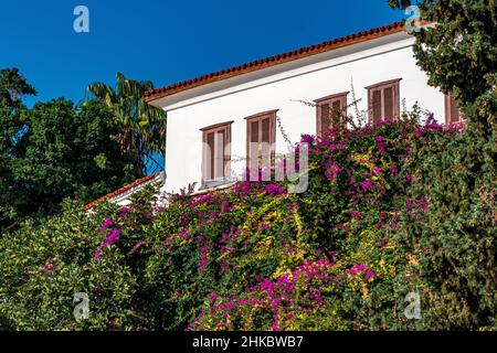 Traditionelles Haus mit Ziegeldach und Fensterläden unter Blumen in Kaleiçi, dem historischen Viertel von Antalya, Türkei Stockfoto
