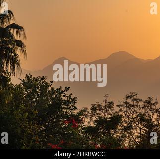 Tropische Landschaft in der Dämmerung - Pflanzenbilder und neblige Berge während des Sonnenuntergangs Stockfoto