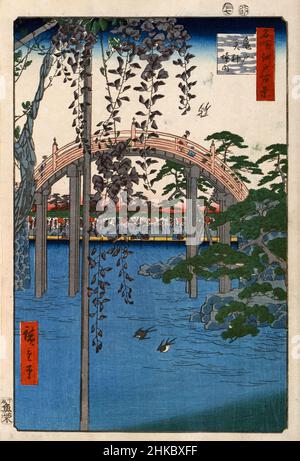 „Inside Kameido Tenjin Shrine“ des japanischen Künstlers Utagawa Hiroshige (1797–1858), der einen Blick durch kaskadierende Glyzinien auf die berühmte Trommelbrücke, die einen Teich überspannt, zeigt, wobei Menschen die Brücke überqueren und drei Spatzen über den Kameido Tenjin-Schrein in Edo (heute Tokio) fliegen. Aus der Serie One Hundred Famous Views of Edo, die 1856 veröffentlicht wurde. Stockfoto