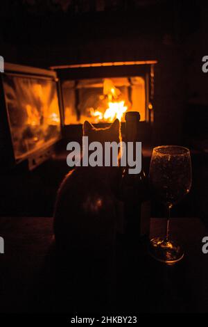 Eine lustige rote Katze in der Nähe des Kamins, mit etwas Wein Stockfoto