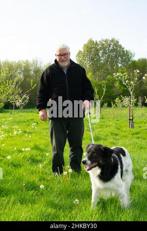 Alan, ein Hundewanderer bei Watercress Orchard’s, Ashford Stockfoto