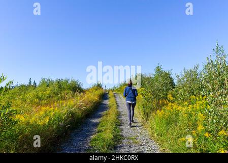 Frau, die auf einem Wanderweg in der Natur geht Stockfoto