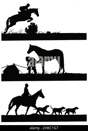 Silhouette eines Pferdes und Reiters in verschiedenen Posen auf weißem Hintergrund. Stockfoto