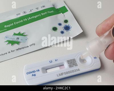 London, Großbritannien, 3. Februar 2022: Eine Person legt vier Tropfen Pufferlösung, die Material aus einem Nasenabstrich enthält, auf die Testkassette eines lateralen Durchfluss-Testkits. Die Schnellantigen-Tests werden jetzt ohne nachfassende PCR-Tests verwendet. Dieser Test wird in Clapham, London, durchgeführt, wo die Covid-Infektionsraten für den Bezirk Lambeth wieder steigen. Anna Watson/Alamy Live News Stockfoto