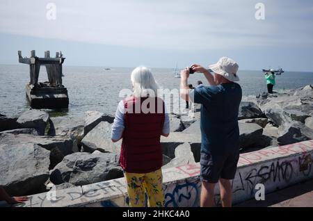 Valparaiso, Chile - Februar 2020: Touristen fotografieren Seelöwen, die sich am Pier sonnen. Sealion Spot in Valparaiso. Ältere Touristen schauen sich an Stockfoto
