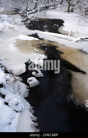 Der Fluss Lāčupīte ist im Winter teilweise mit Eis bedeckt, Kurzeme, Lettland Stockfoto