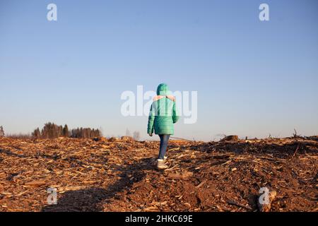 Ein Kind in einem Waldschlag. Stockfoto