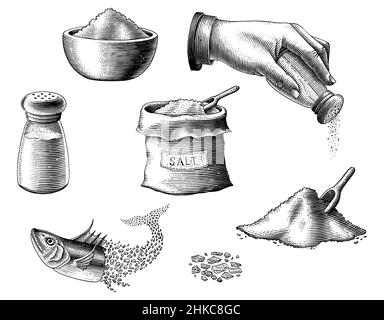 Salt Collection Hand zeichnen Vintage Gravur Stil schwarz und weiß Cliparts Stock Vektor
