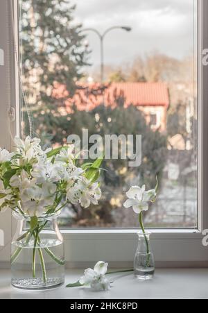 Ein Strauß weißer Lilien auf einer Fensterbank. Stockfoto