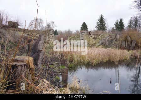 02. Februar 2022, Brandenburg, Oranienburg: Am Rande der Baustelle der Friedensthaler Schleuse an der Havel stehen abgesägte Bäume neben den Mauerresten. Nach Angaben der Stadt handelt es sich bei der aktuellen Rekonstruktion der Schleuse, die 1879 erbaut und 1959 stillgelegt wurde, um ein einzigartig umfangreiches Infrastrukturprojekt, das im vergangenen Jahr mit der Räumung von Sprengkörpern begonnen hatte. Nach dem Abriss soll bis Herbst 2023 eine komplett neue Schleuse gebaut werden. Damit wird der Hafen von Oranienburg mit den Ruppiner Gewässern verbunden, was insbesondere dem Wassertourismus zugute kommen soll. Foto: Soeren Sta Stockfoto
