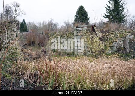 02. Februar 2022, Brandenburg, Oranienburg: Schilf wächst am Rande der Baustelle der Friedensthaler Schleuse an der Havel neben den Mauerresten. Nach Angaben der Stadt handelt es sich bei der aktuellen Rekonstruktion der Schleuse, die 1879 erbaut und 1959 stillgelegt wurde, um ein einzigartig umfangreiches Infrastrukturprojekt, das im vergangenen Jahr mit der Räumung von Sprengkörpern begonnen hatte. Nach dem Abriss soll bis Herbst 2023 eine komplett neue Schleuse gebaut werden. Damit wird der Hafen von Oranienburg mit den Ruppiner Gewässern verbunden, was insbesondere dem Wassertourismus zugute kommen soll. Foto: Soeren Stache/dpa-Zen Stockfoto