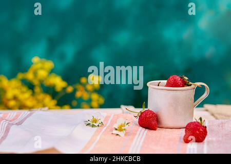 Erdbeeren in einem Reisetasse aus Metall-Aluminium, Frühlingshintergrund. Cottagecore Ästhetik Konzept. Speicherplatz kopieren. Hochwertige Fotos Stockfoto