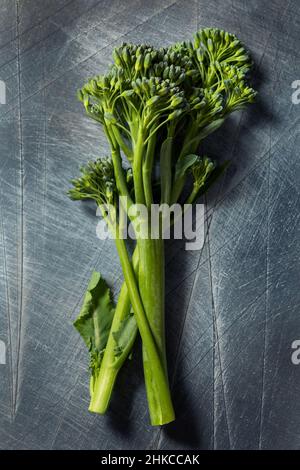 Rohes Bio frisches Broccolini Gemüse bereit zum Kochen Stockfoto
