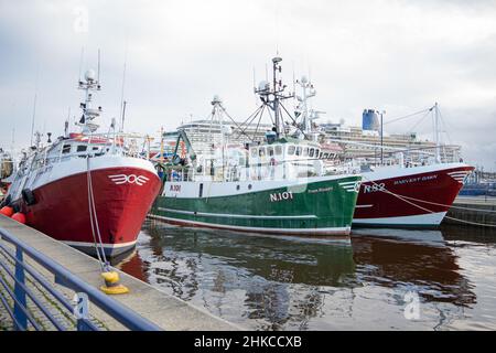 Drei Schiffe in der Royal Quays Marina, North Shields, North Tyneside, Großbritannien, mit einem Kreuzfahrtschiff dahinter, von einem öffentlichen Fußweg aus gesehen. Stockfoto