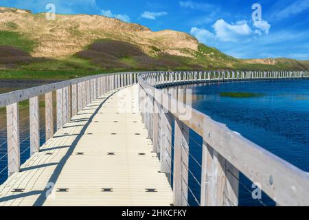 Schwimmende Promenade zu den Dünen im Prince Edward Island National Park, Kanada. Stockfoto