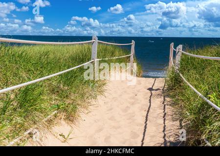 Pfad durch die Dünen zum Strand in Greenwich, PEI National Park, Kanada. Stockfoto