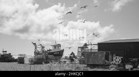 Möwen über Fischern am Strand von Aldeburgh, Stockfoto