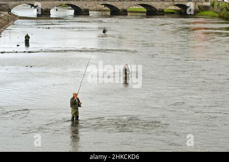 Lachsfischen auf dem Fluss Moy, Ballina, County Mayo Stockfoto