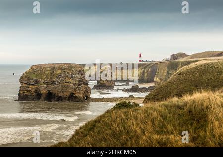 Der Blick entlang der Marshden Bay bei Sunderland, auf die Klippen und das Sandsteinmeer, wenn die Flut eintrifft Stockfoto