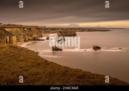 Der Blick entlang der Marshden Bay bei Sunderland, auf die Klippen und das Sandsteinmeer, wenn die Flut eintrifft Stockfoto