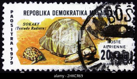 MALAGASY - UM 1979: Eine in Malagasy gedruckte Marke zeigt abgestrahlte Schildkröten, Astrochelys radiata, ist eine sehr langlebige Schildkröte aus Mada Stockfoto