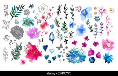 Ein Set aus Aquarell-Blumen und floralen Elementen. Vektorgrafik Stock Vektor