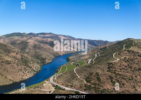 Blick auf die Douro Weinberge Stockfoto