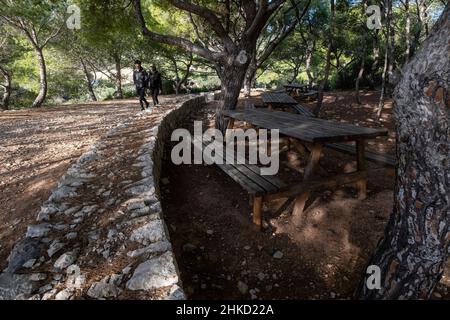 Erholungsgebiet Na Miranda, Naturpark Sa-Baia, Mallorca, Balearen, Spanien Stockfoto